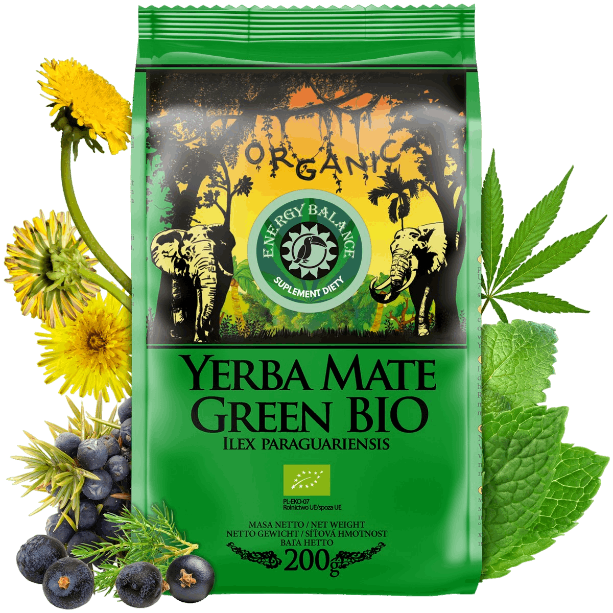 Yerbamate Energy Balance