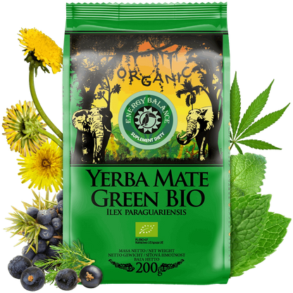 Yerbamate Energy Balance